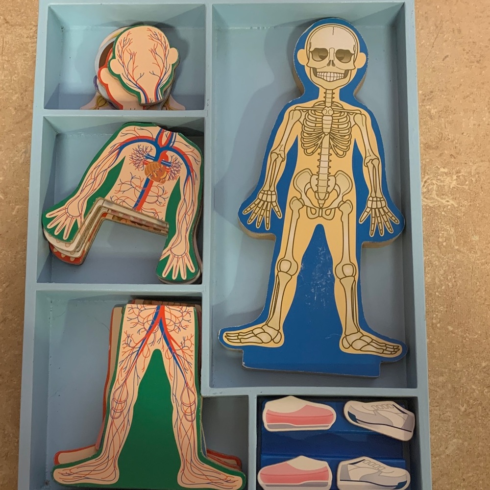 Melissa & Doug Anatomy Puzzle Set - Blue and Tan